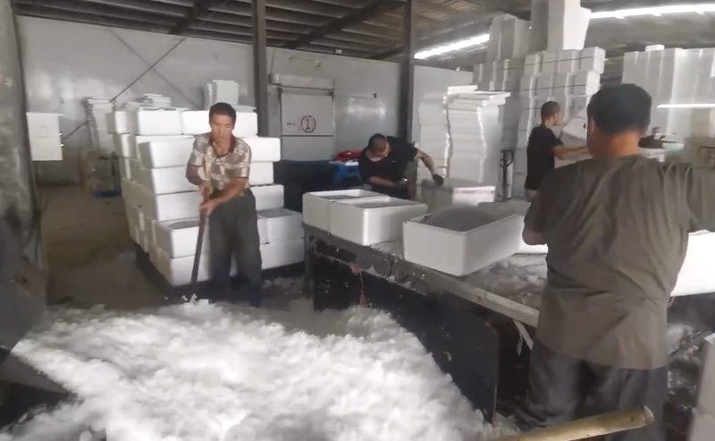 100 tons block ice plant