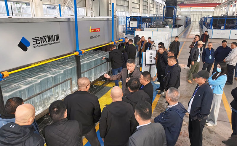 Crystal Clear Ice Block Machine