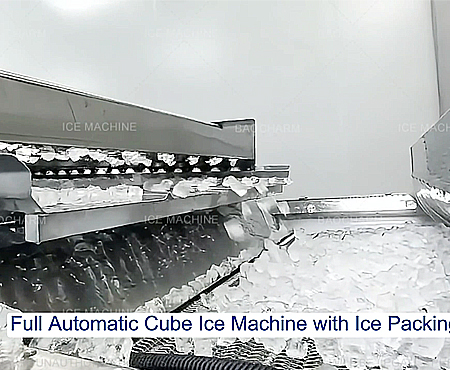 Machine à glaçons entièrement automatique avec ligne d'emballage de glace