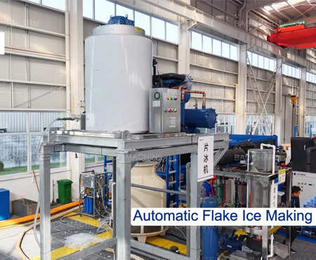 Machine à glace en écailles à capacité de production journalière personnalisée