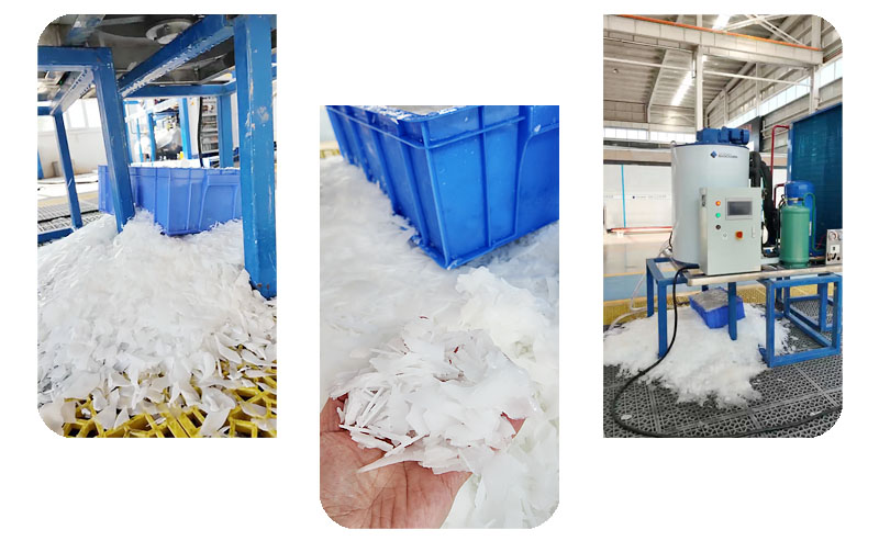 Customized Flake Ice Making Machine for Fishery